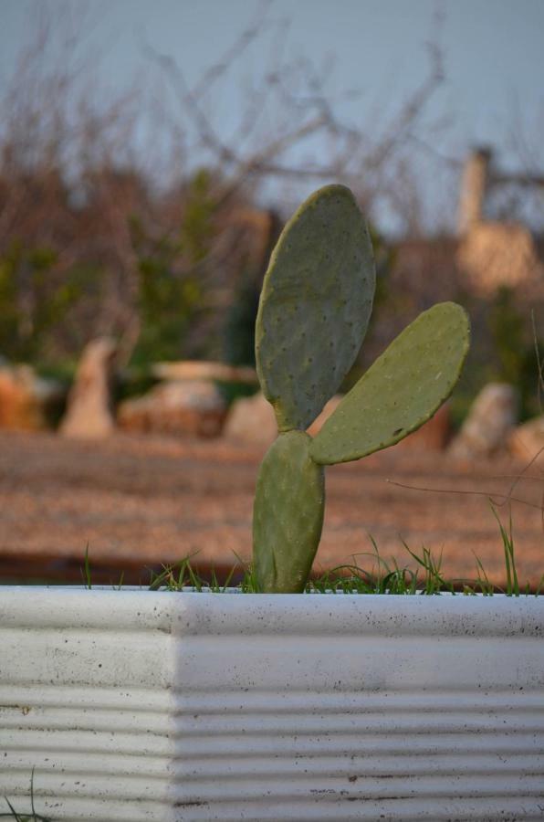 Masseria Poli Country House กอนแวร์ซาโน ภายนอก รูปภาพ